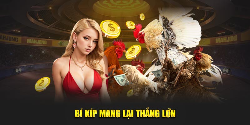 Bí kíp mang lại thắng lớn