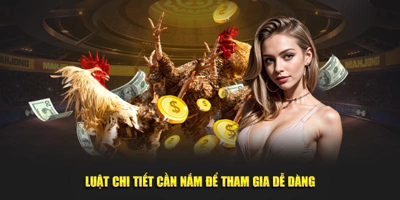 Luật chi tiết cần nắm bắt để tham gia dễ dàng