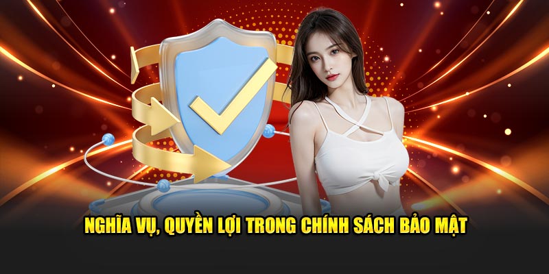 Nghĩa vụ, quyền lợi trong chính sách bảo mật